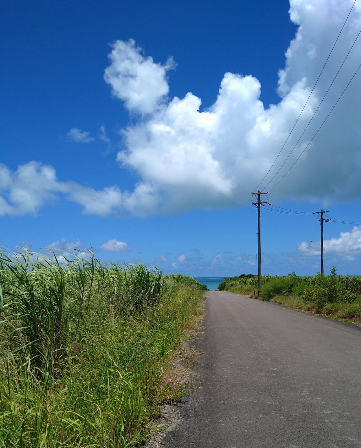 青空