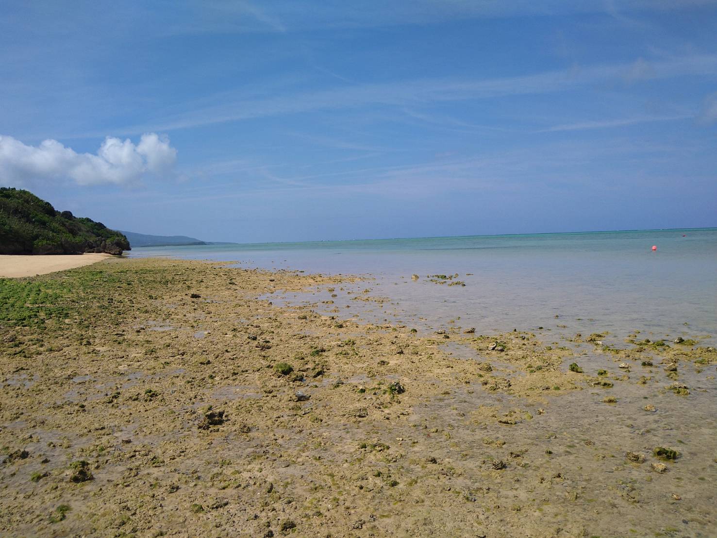 西表島