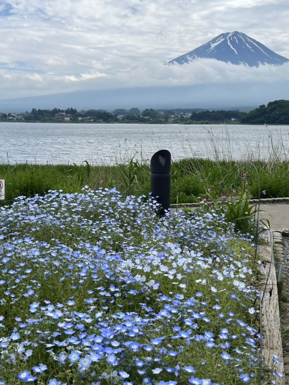 富士山2