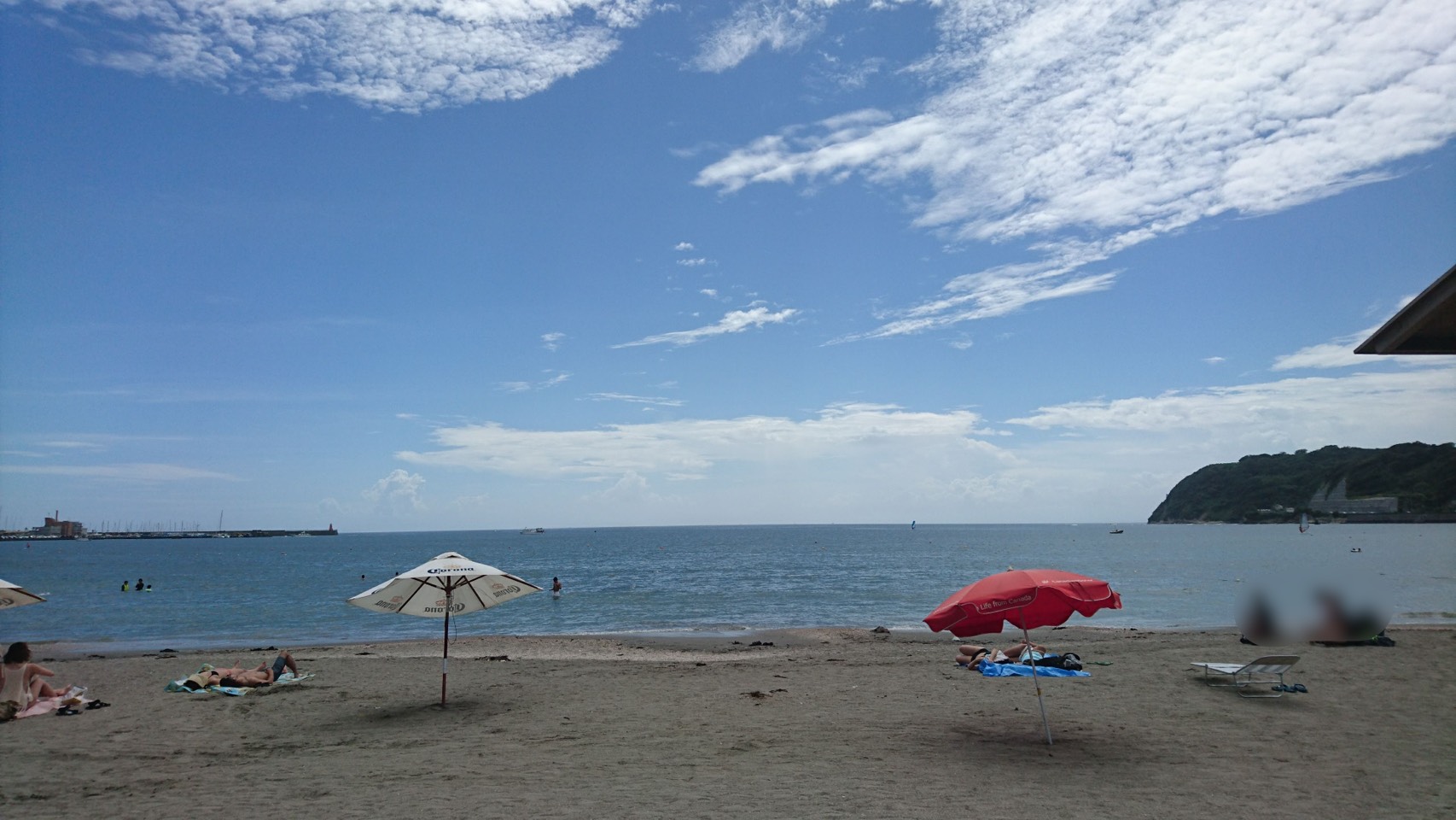 海