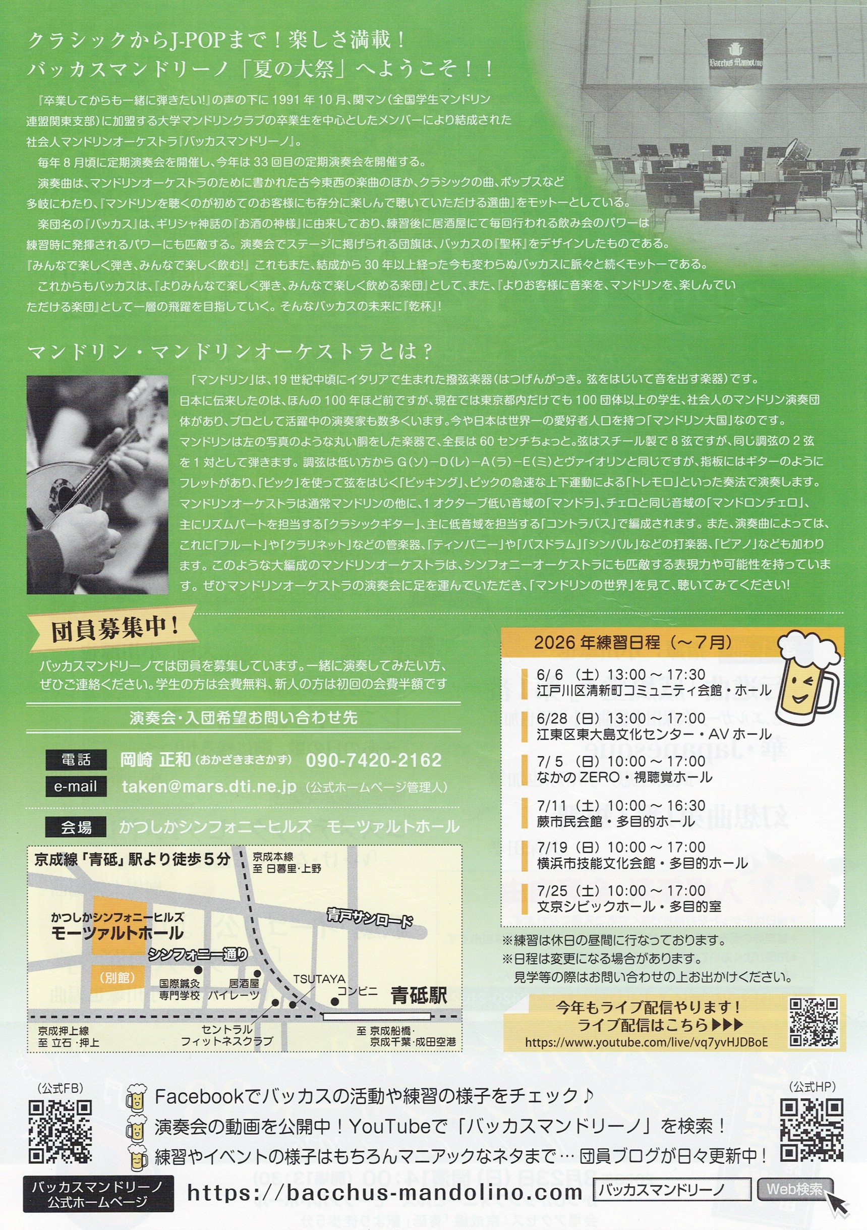 チラシ裏